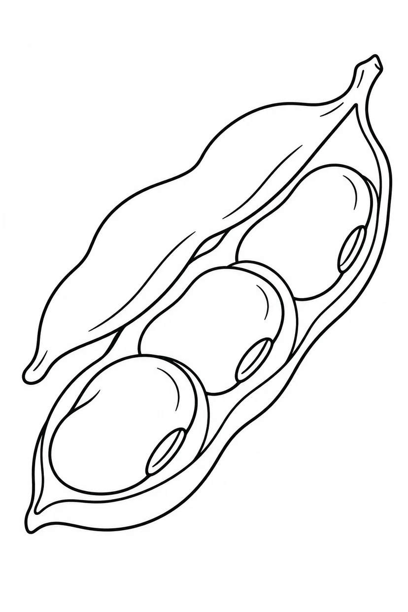 さやの中のそらまめの塗り絵