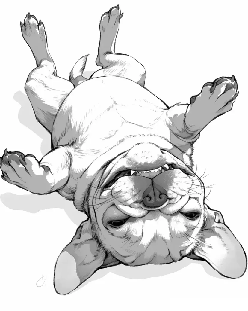 Desenho de Bulldog Francês Rolando para colorir